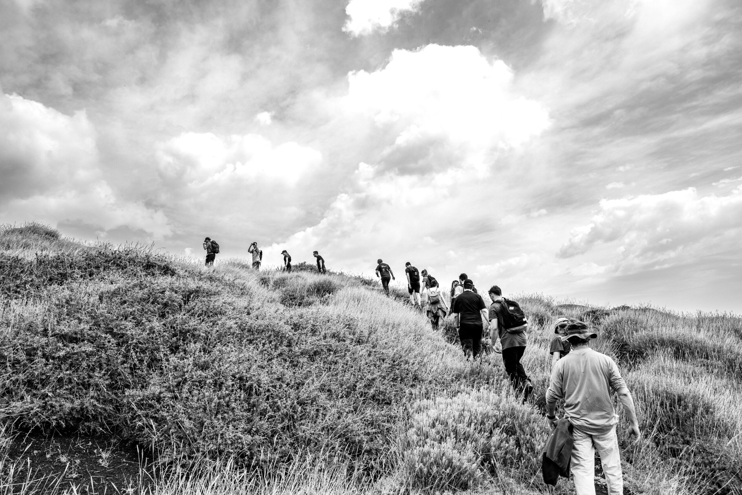 2024-06-13-102925-_DAM9923