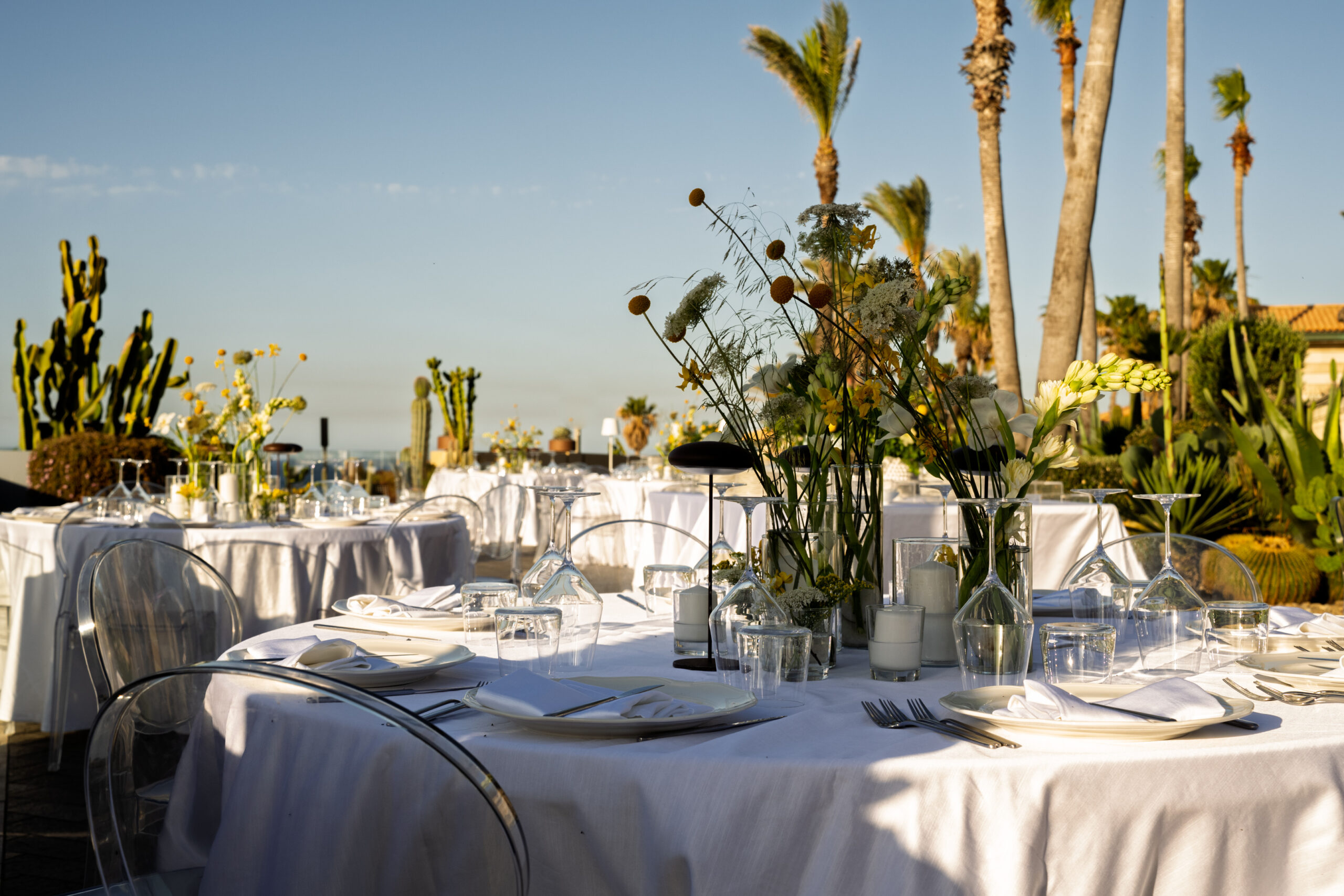 2025-06-04-184742-_DAM4737