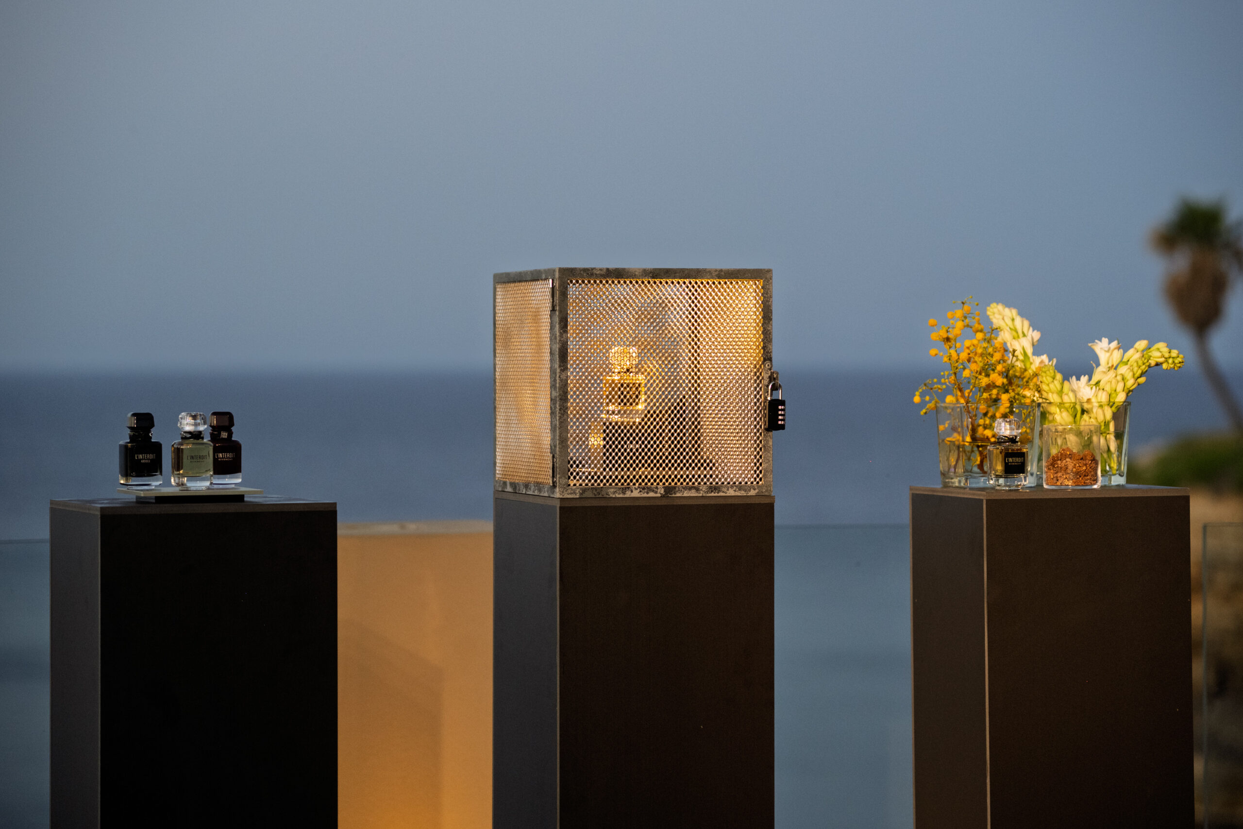 2025-06-04-202811-_DAM5112